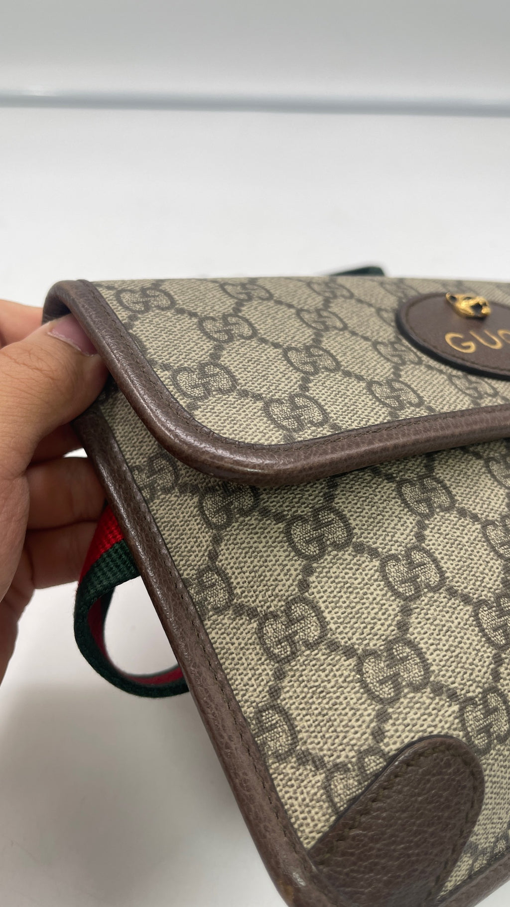 Gucci Belt Bag & Fanny Pack