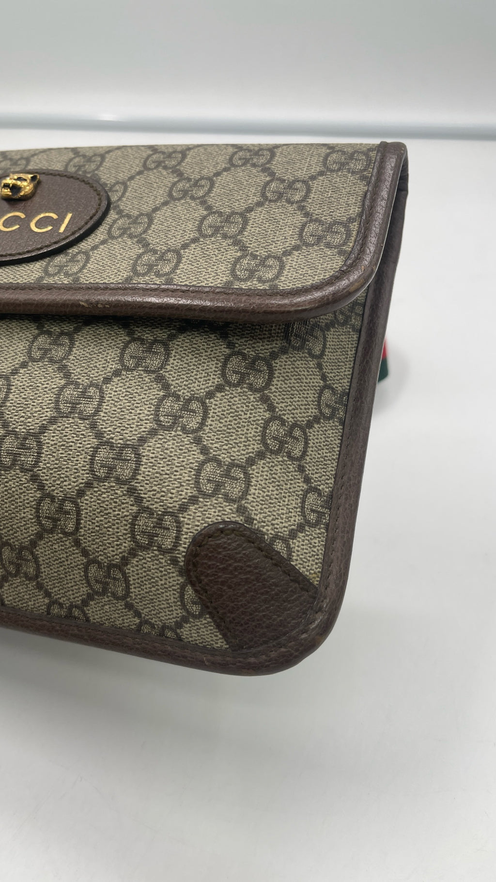 Gucci Belt Bag & Fanny Pack