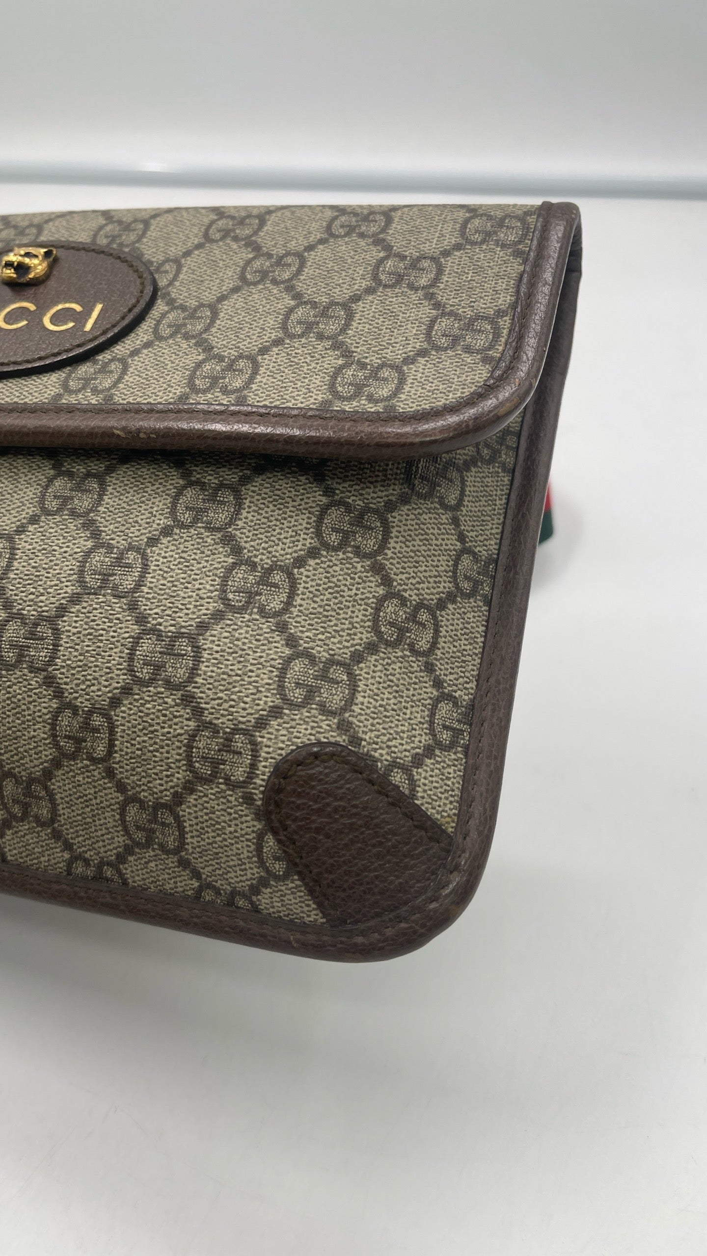 Gucci Belt Bag & Fanny Pack