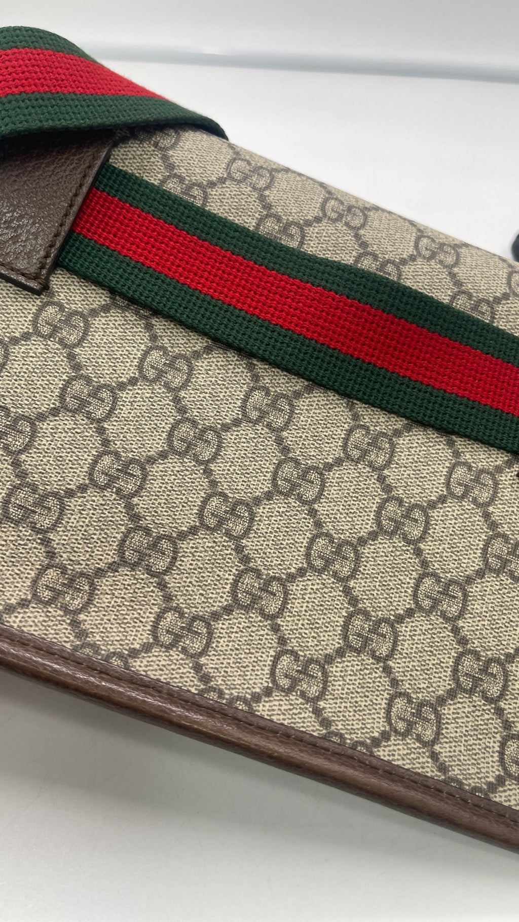 Gucci Belt Bag & Fanny Pack