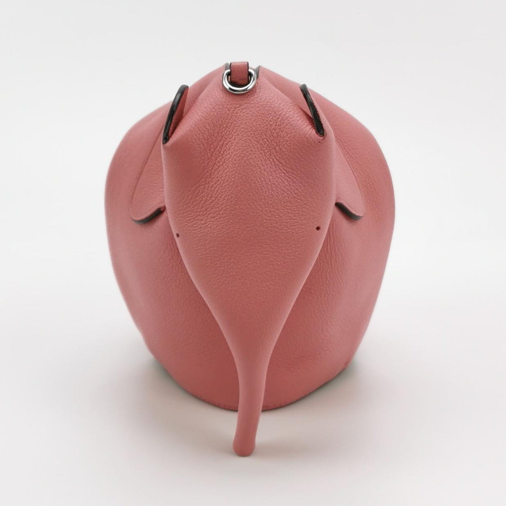Loewe Handbag Other Crossbody A623C45X06-6520