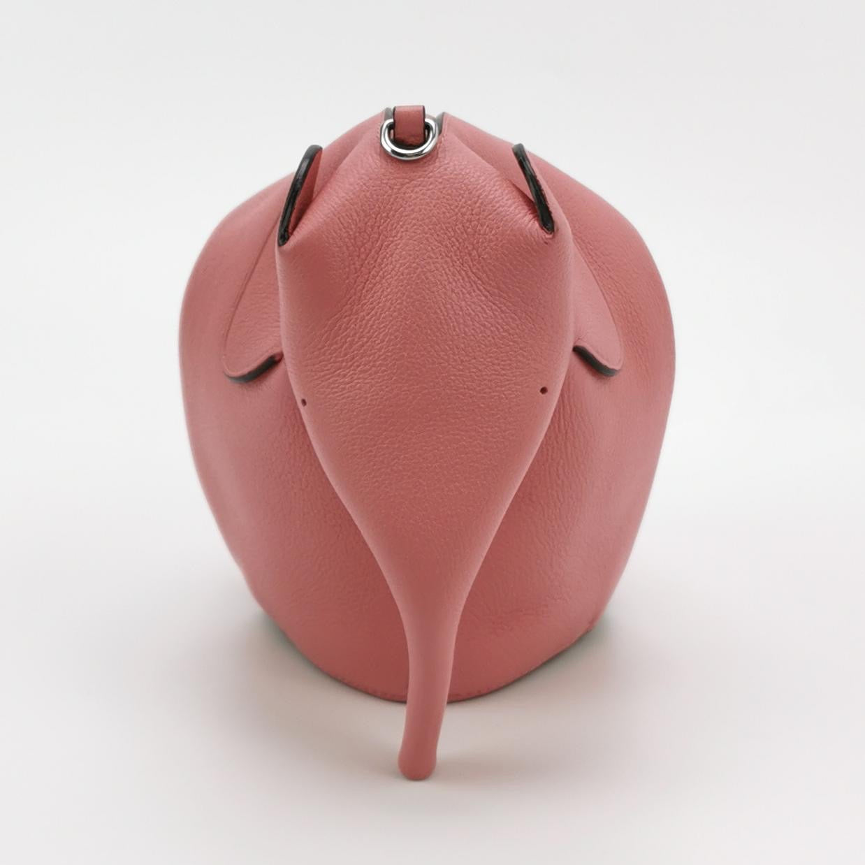 Loewe Handbag Other Crossbody A623C45X06-6520