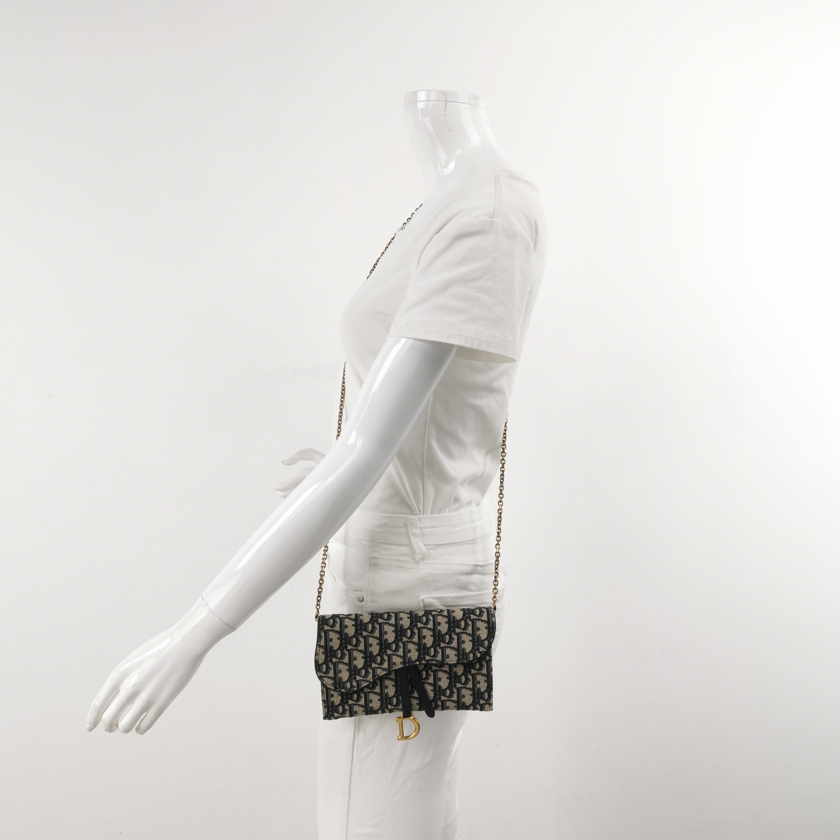 Dior Canvas Saddle Bag S5614CTZQ_M928