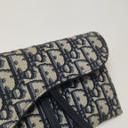 Dior Canvas Saddle Bag S5614CTZQ_M928