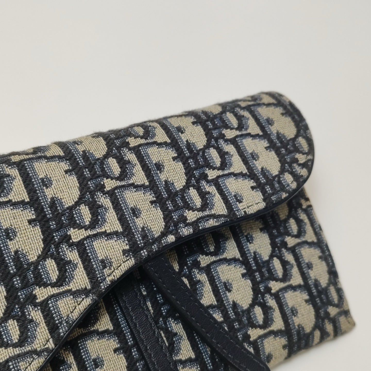 Dior Canvas Saddle Bag S5614CTZQ_M928
