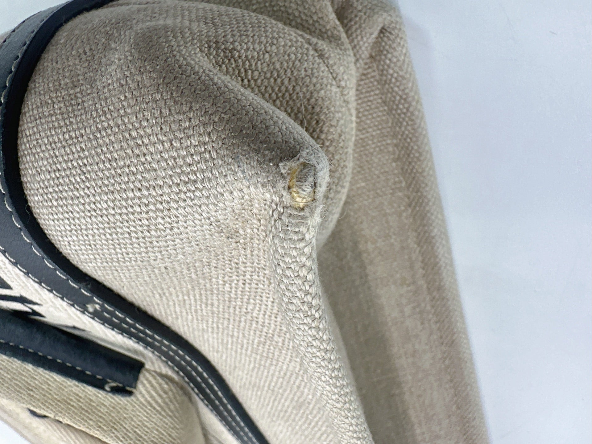 Chloe Canvas Tote