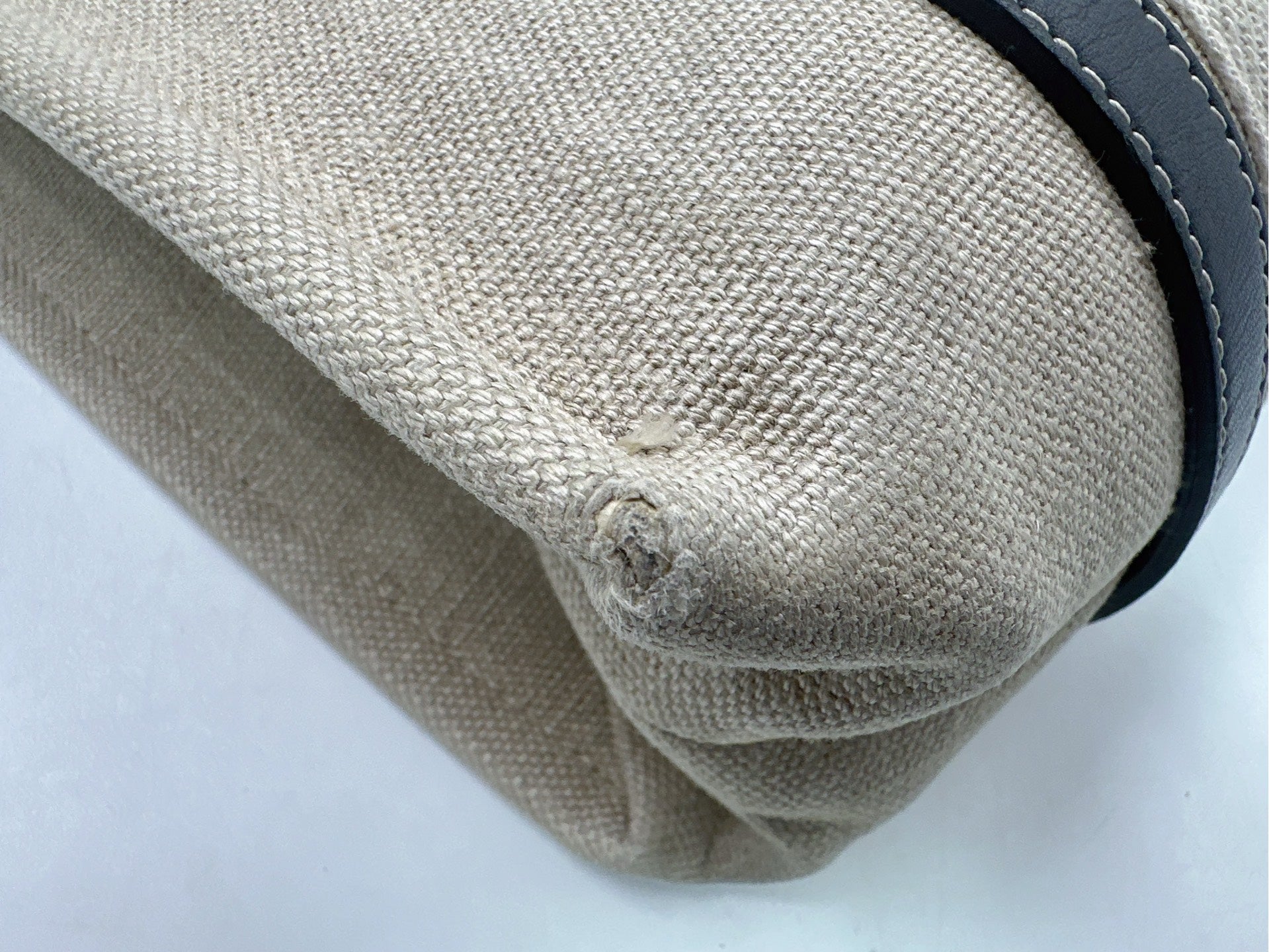 Chloe Canvas Tote