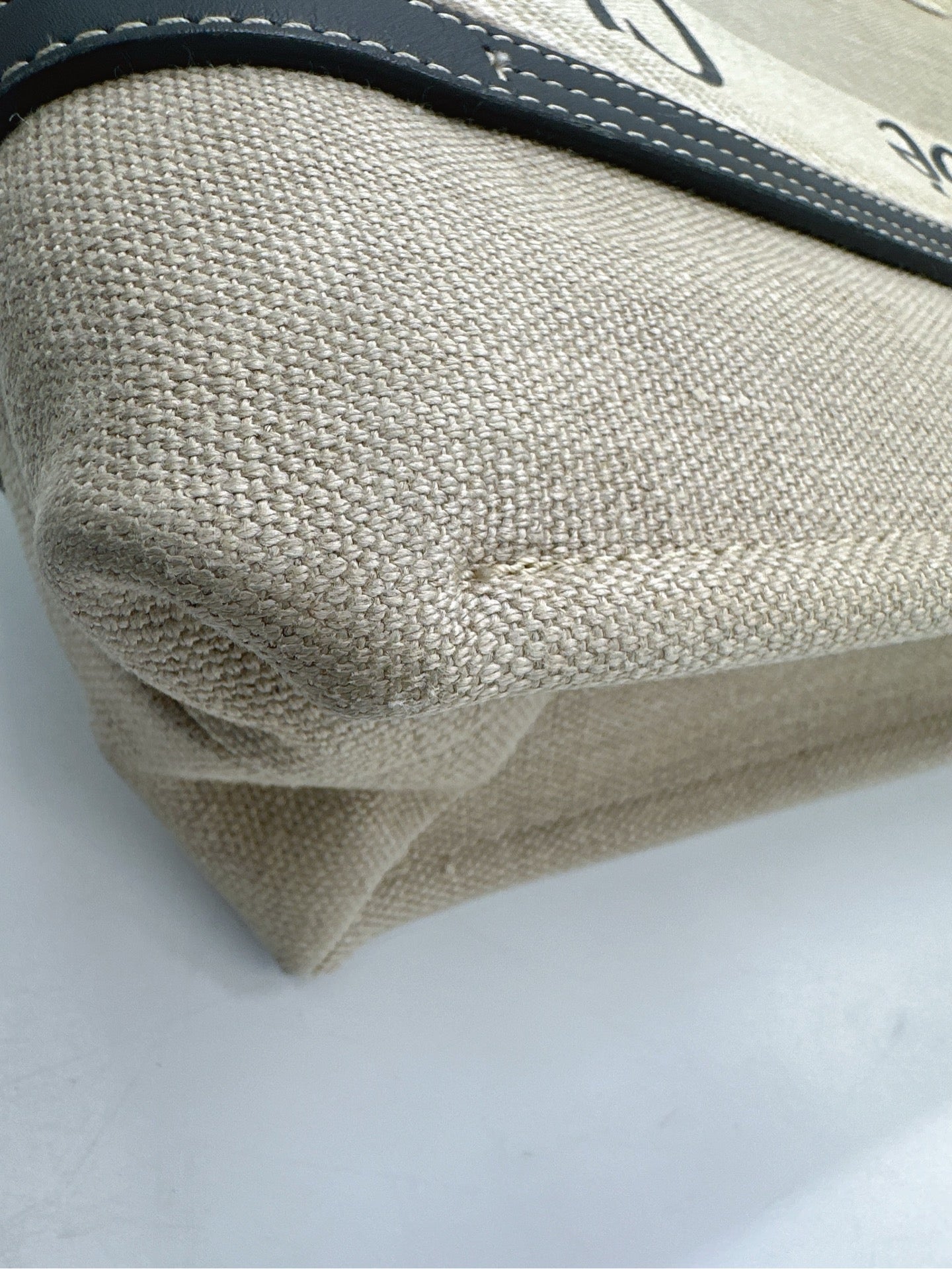 Chloe Canvas Tote