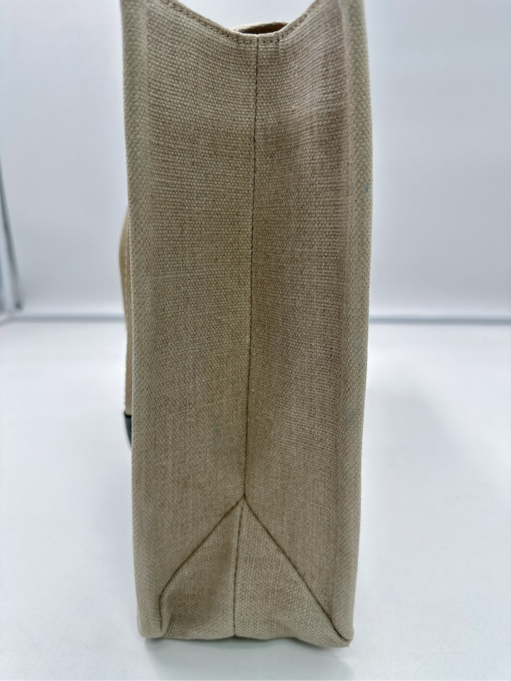 Chloe Canvas Tote