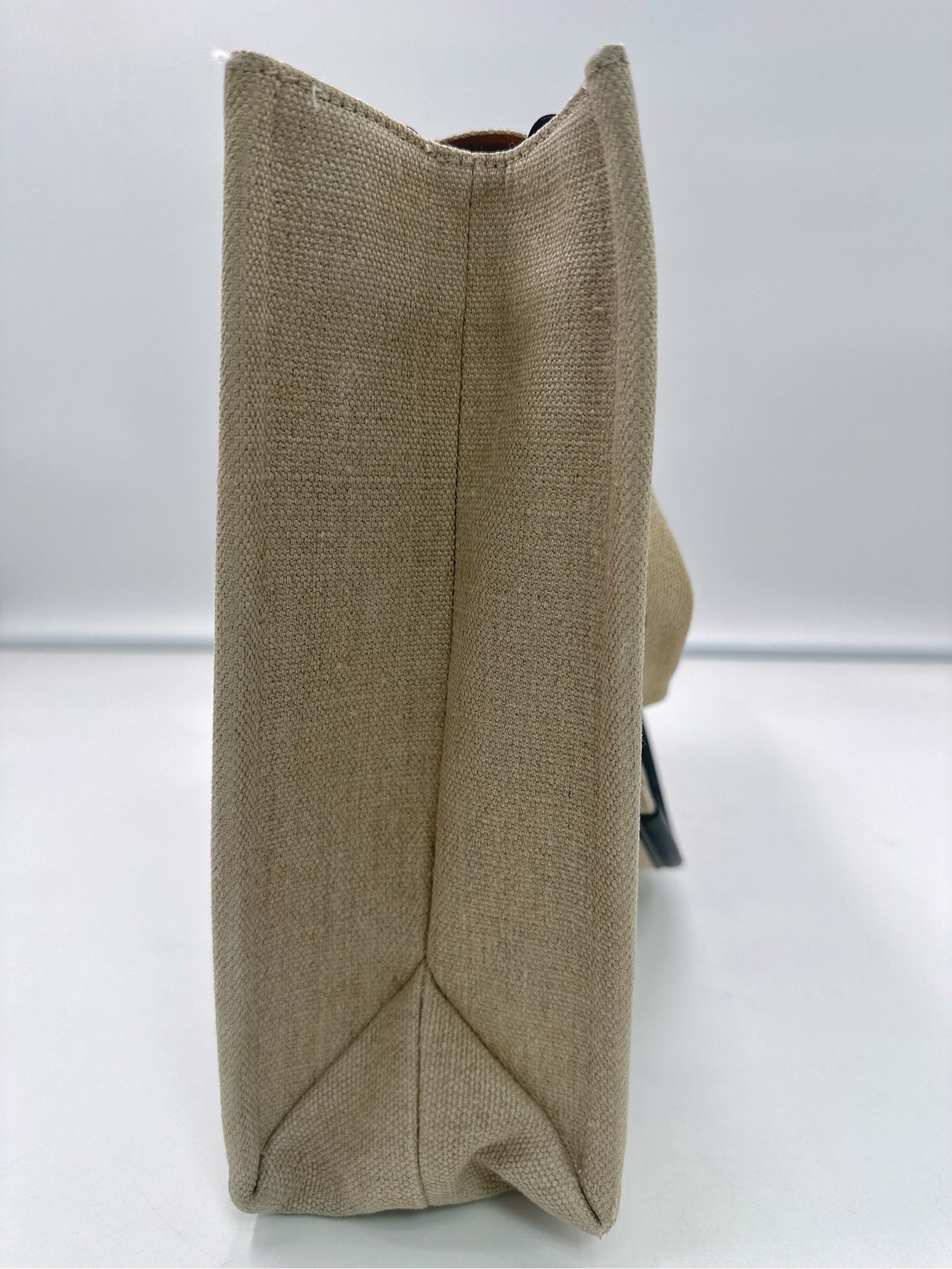 Chloe Canvas Tote