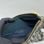 Dior Saddle Bag