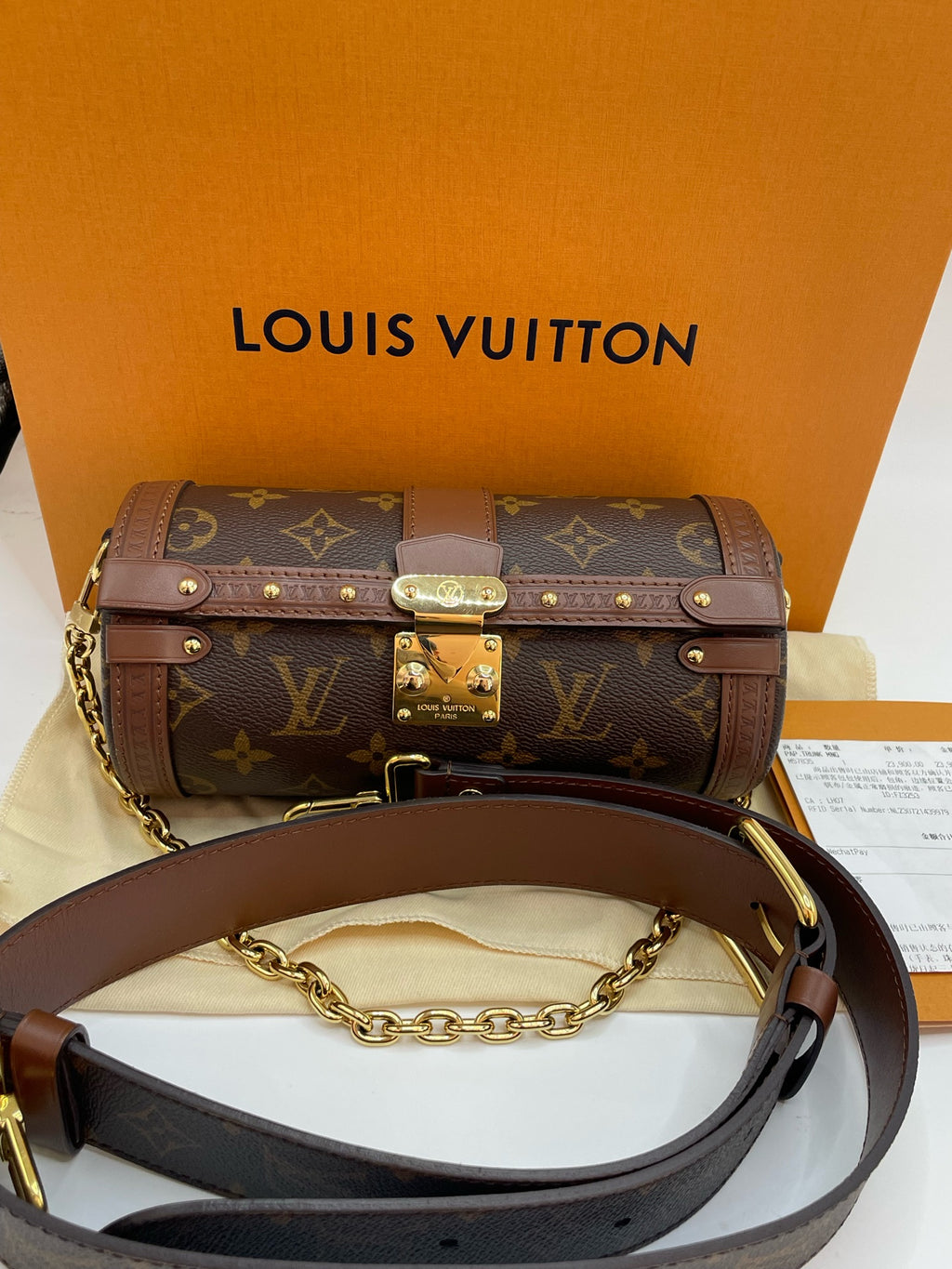 Louis Vuitton Canvas