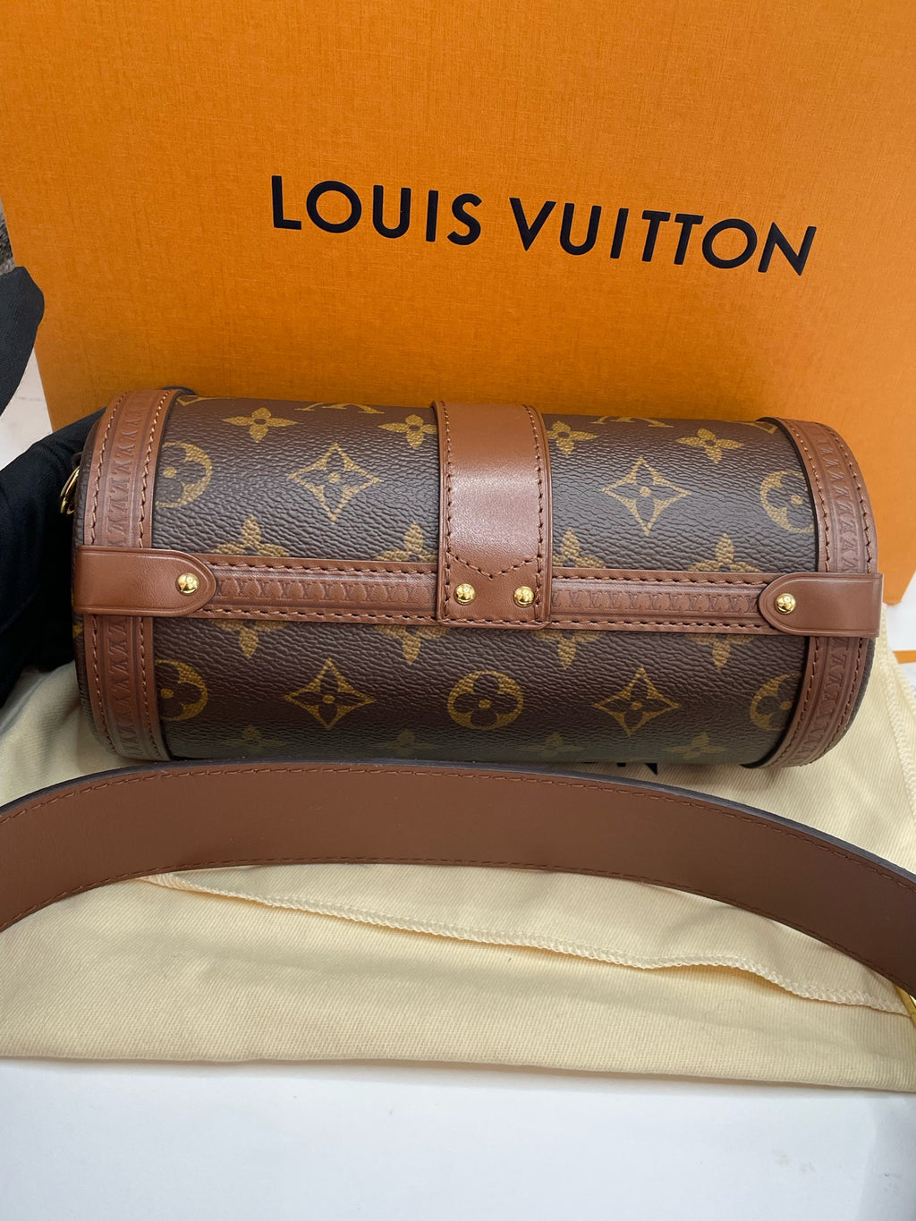 Louis Vuitton Canvas