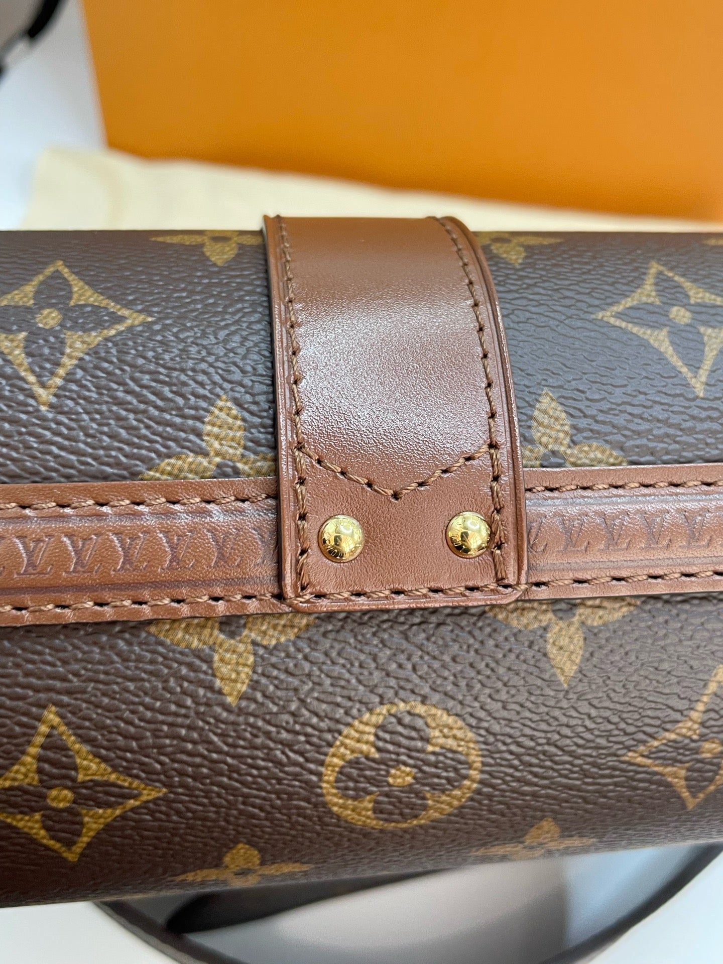 Louis Vuitton Canvas