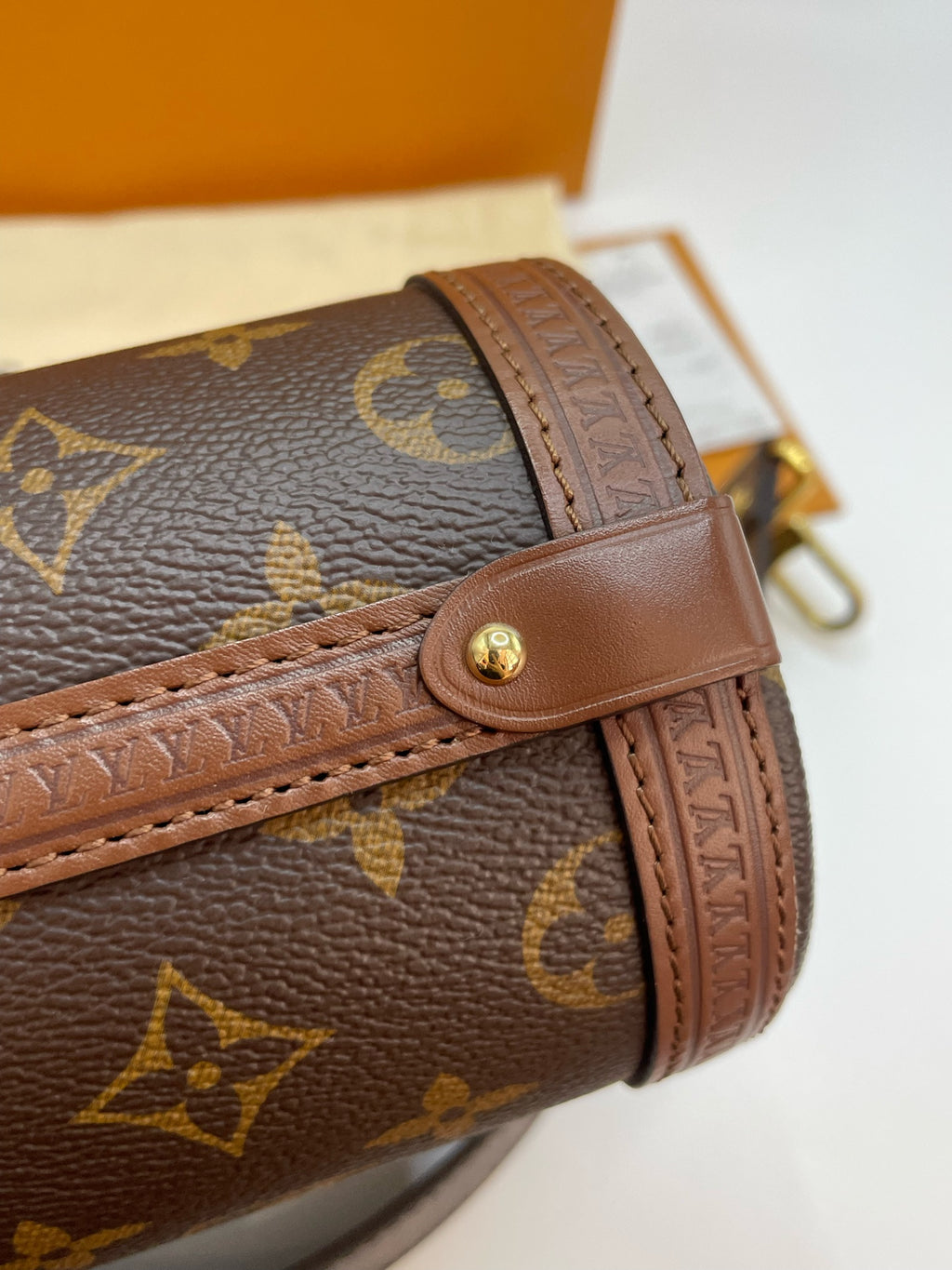 Louis Vuitton Canvas