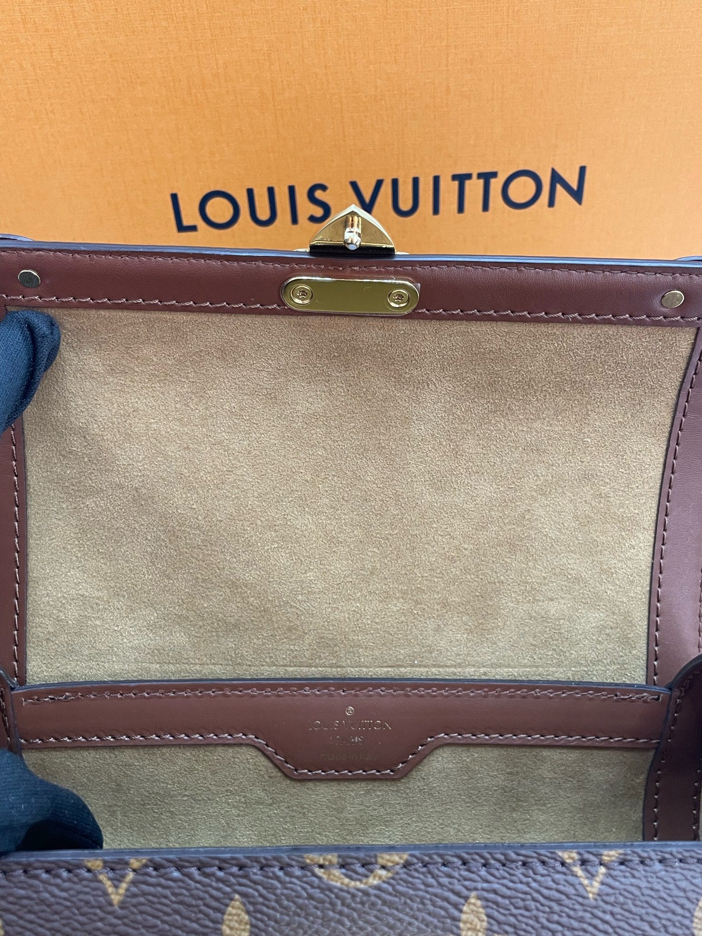 Louis Vuitton Canvas