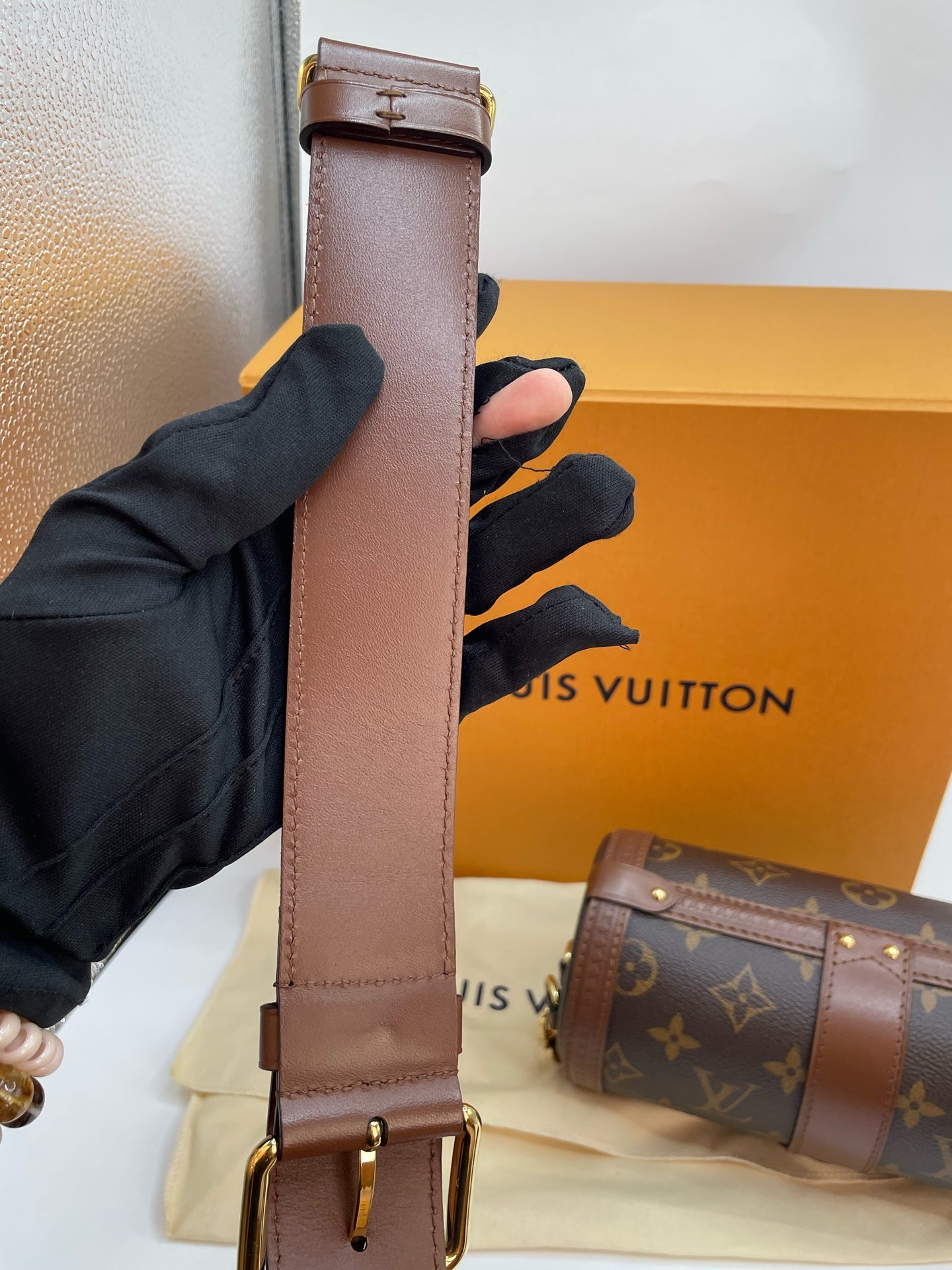 Louis Vuitton Canvas