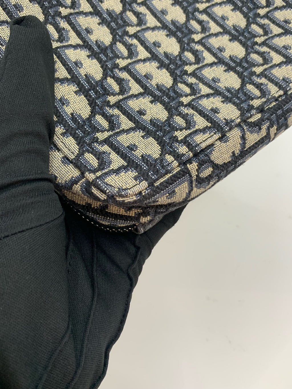 Dior Canvas