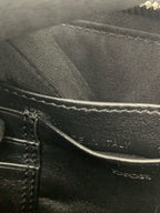 Dior Canvas