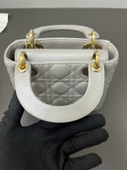 Dior Leather Gray