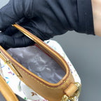 Louis Vuitton Multicolor
