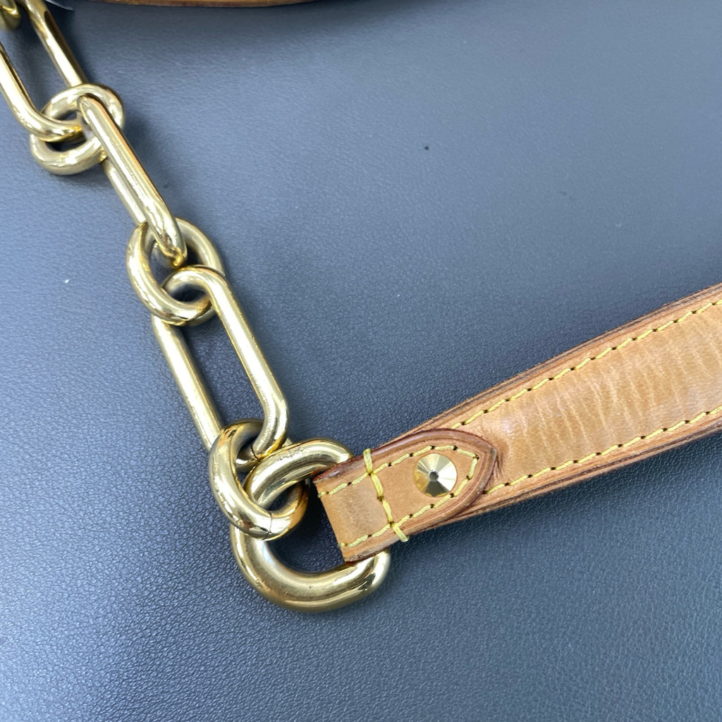 Louis Vuitton Multicolor
