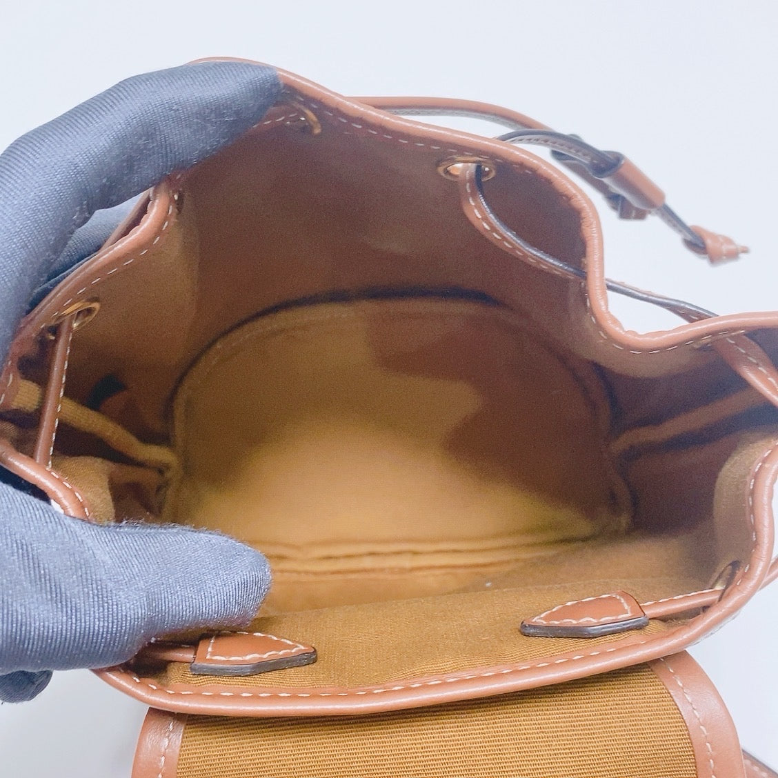 Celine Brown Backpack