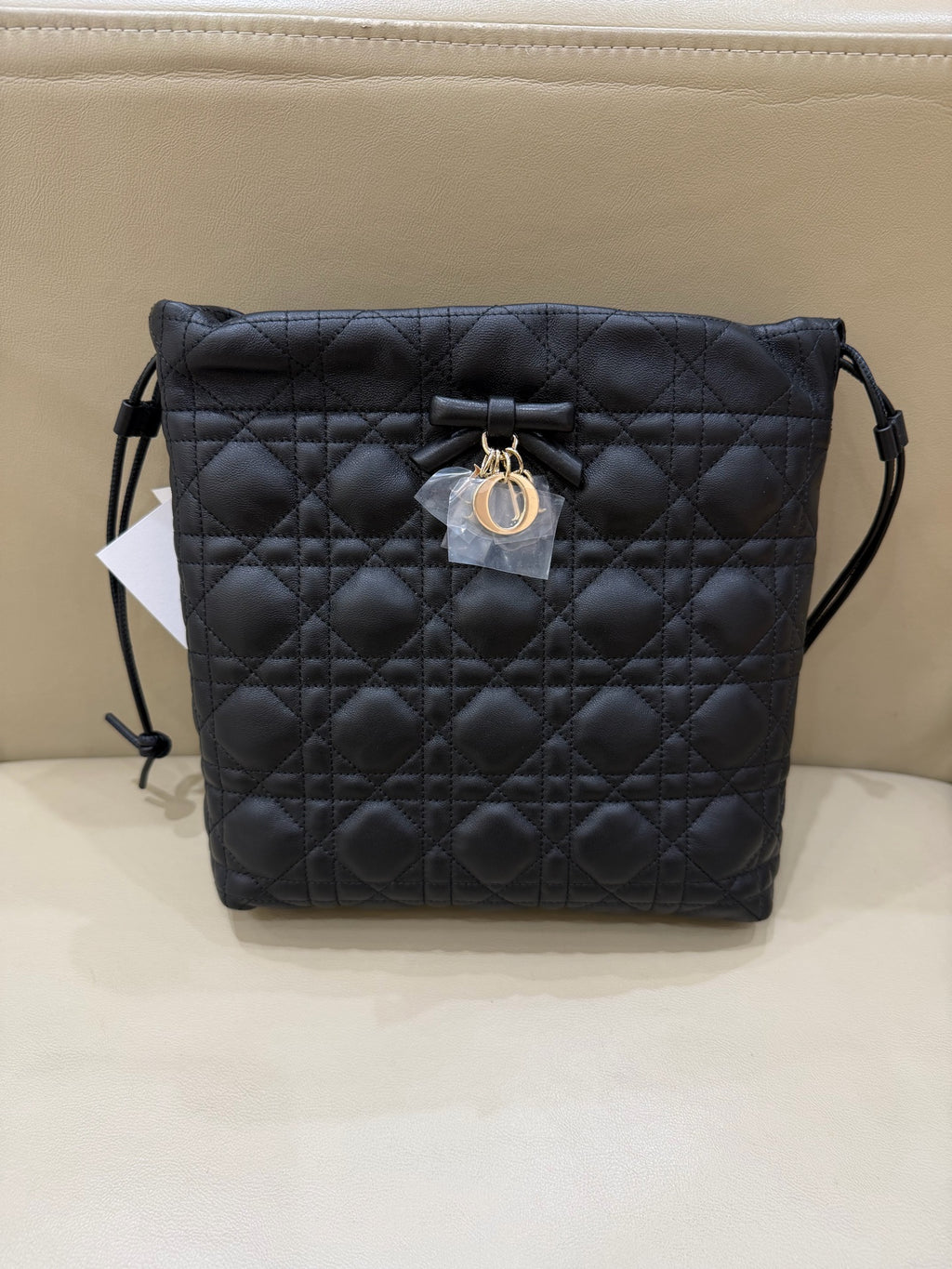 Dior Black Crossbody