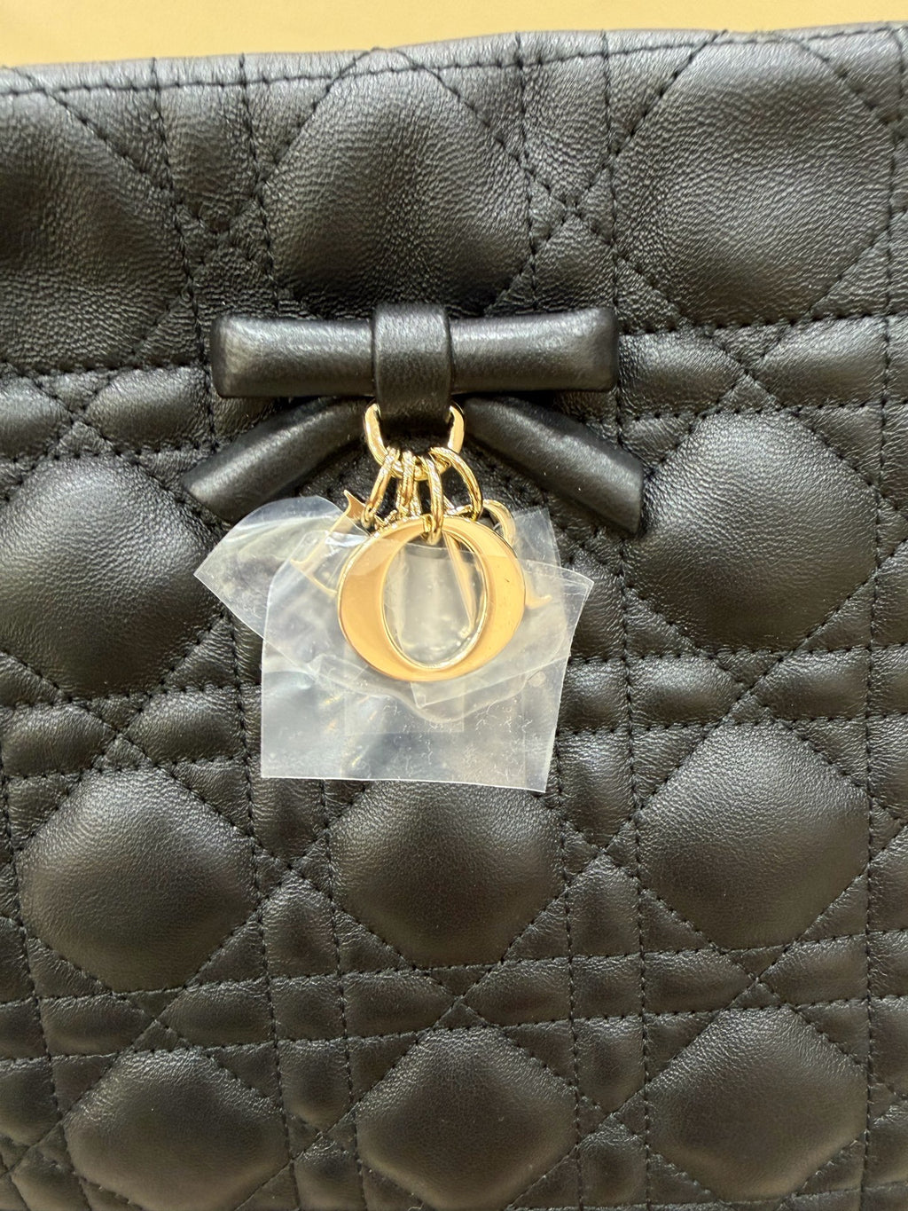 Dior Black Crossbody