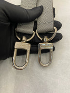 Louis Vuitton Gray