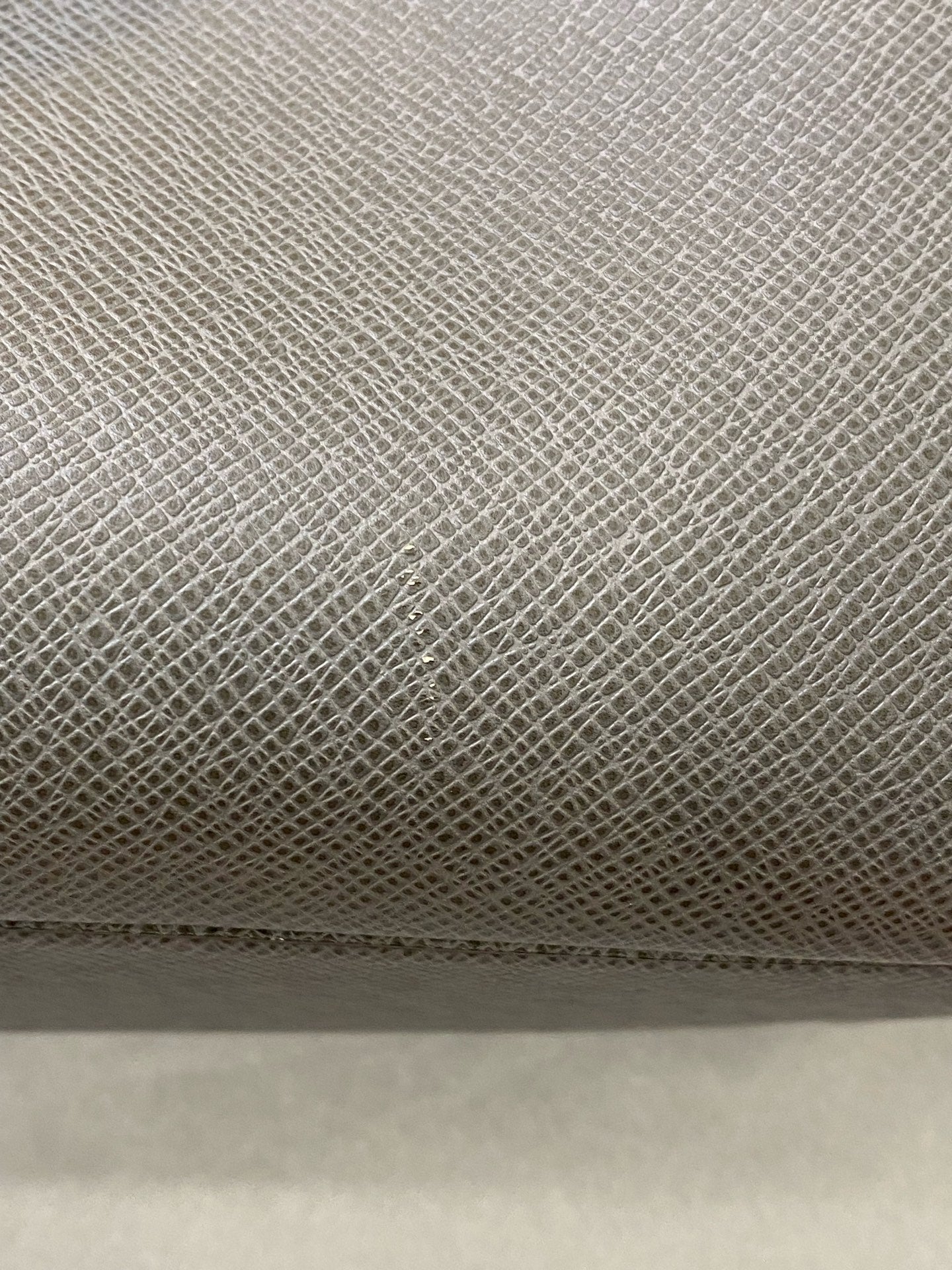 Louis Vuitton Gray