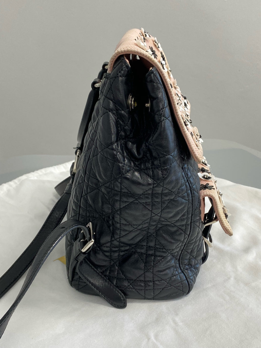 Dior Stardust Backpack M1502PNME M912