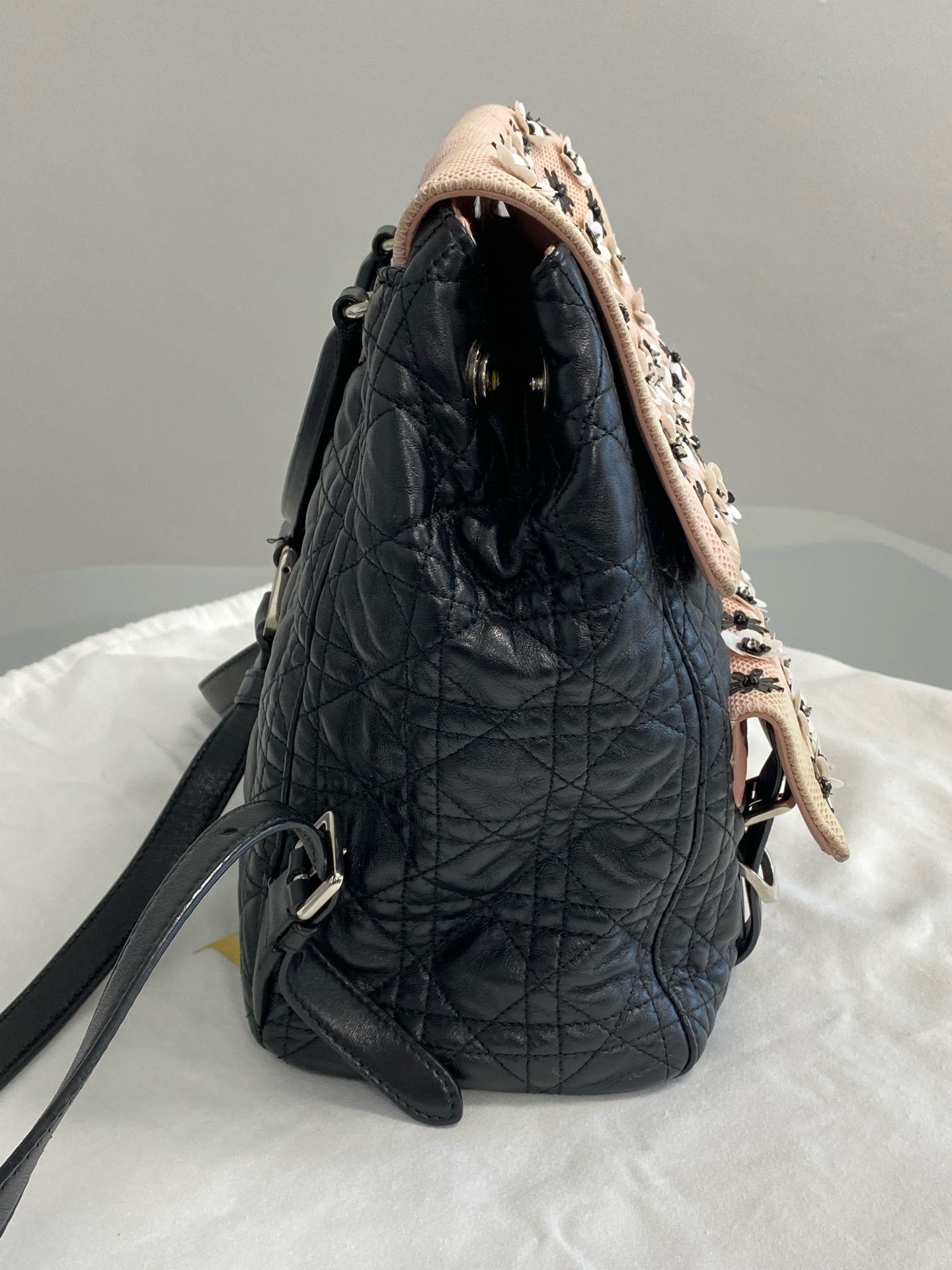 Dior Stardust Backpack M1502PNME M912