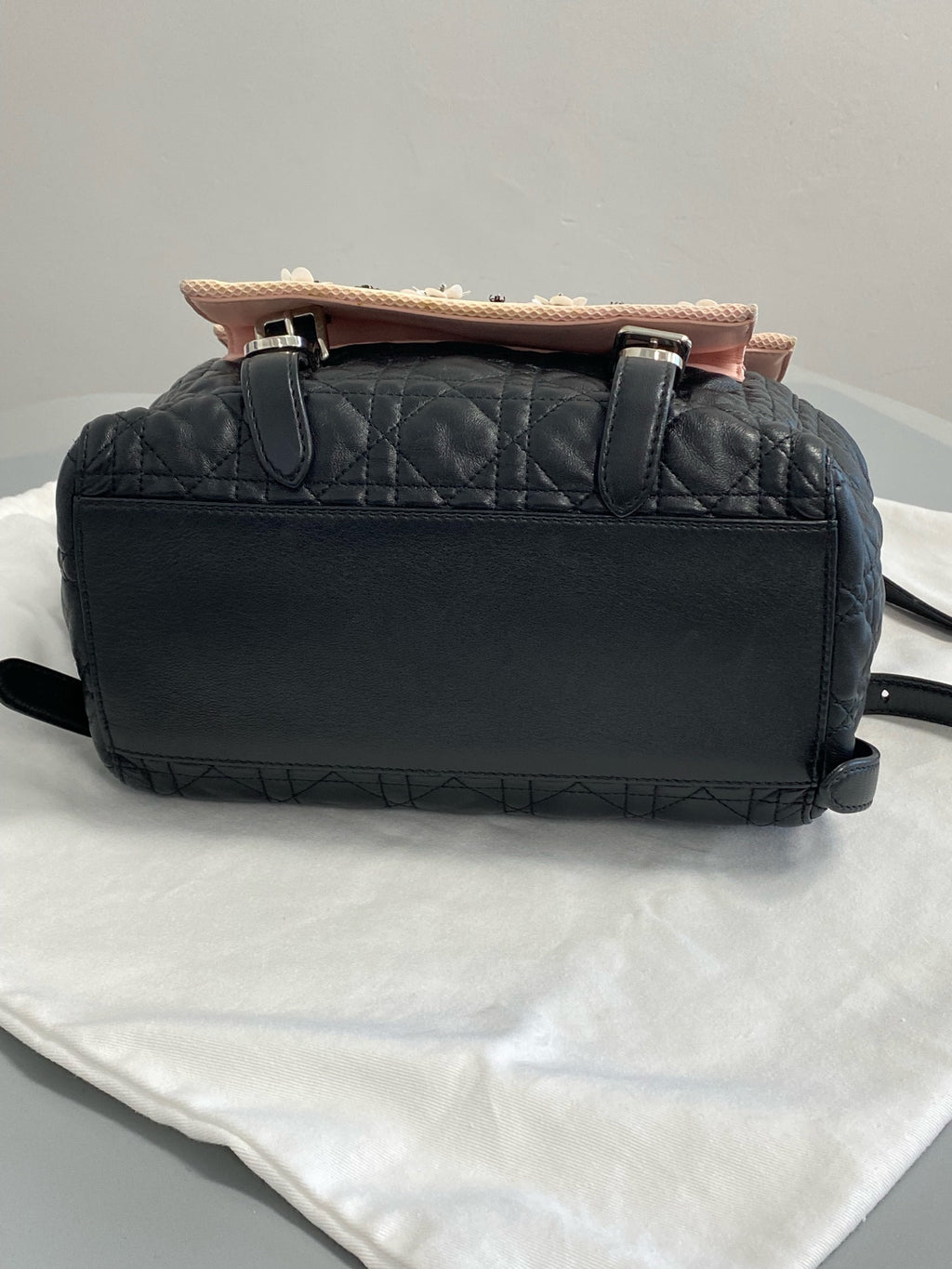 Dior Stardust Backpack M1502PNME M912