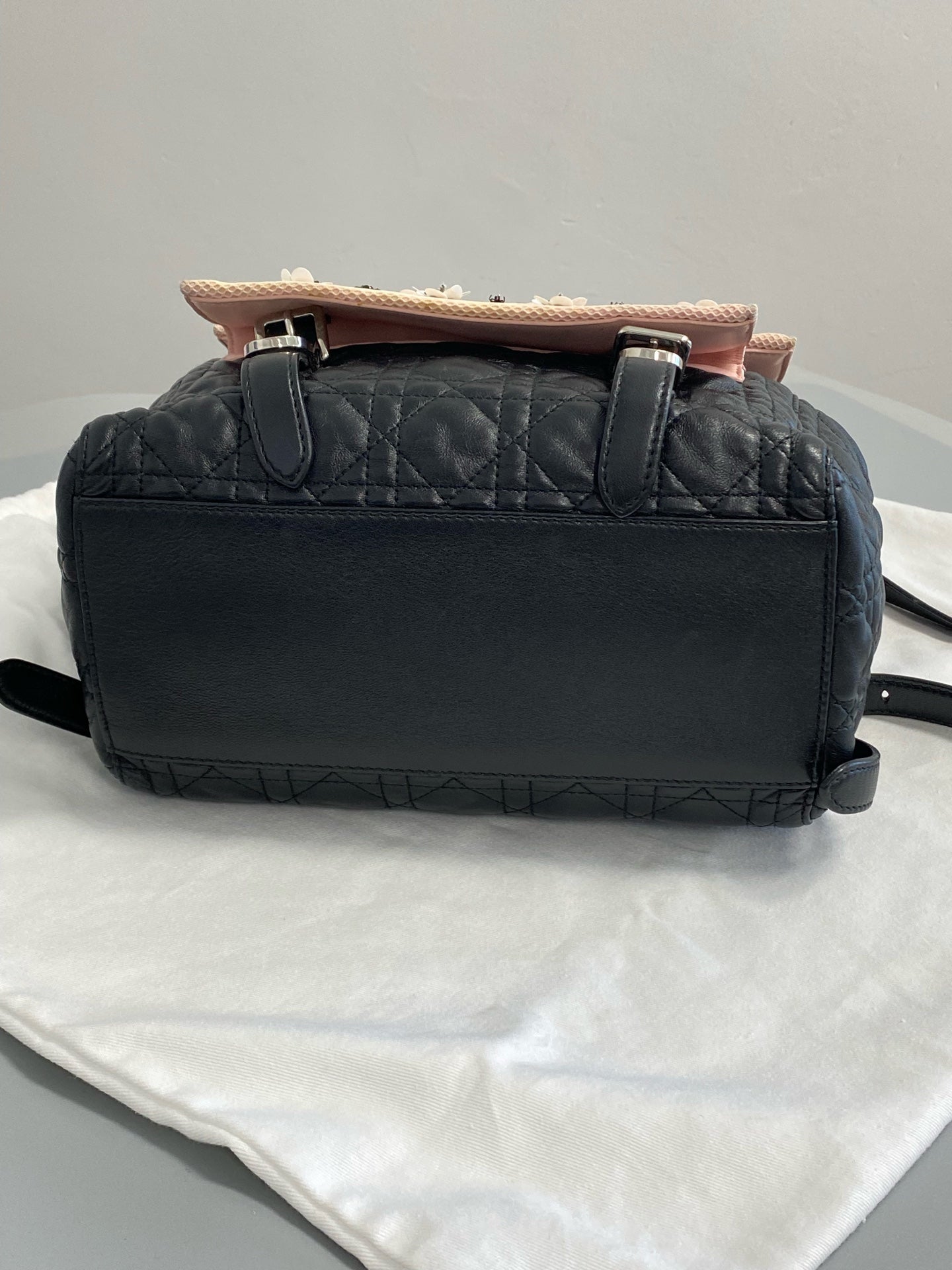 Dior Stardust Backpack M1502PNME M912