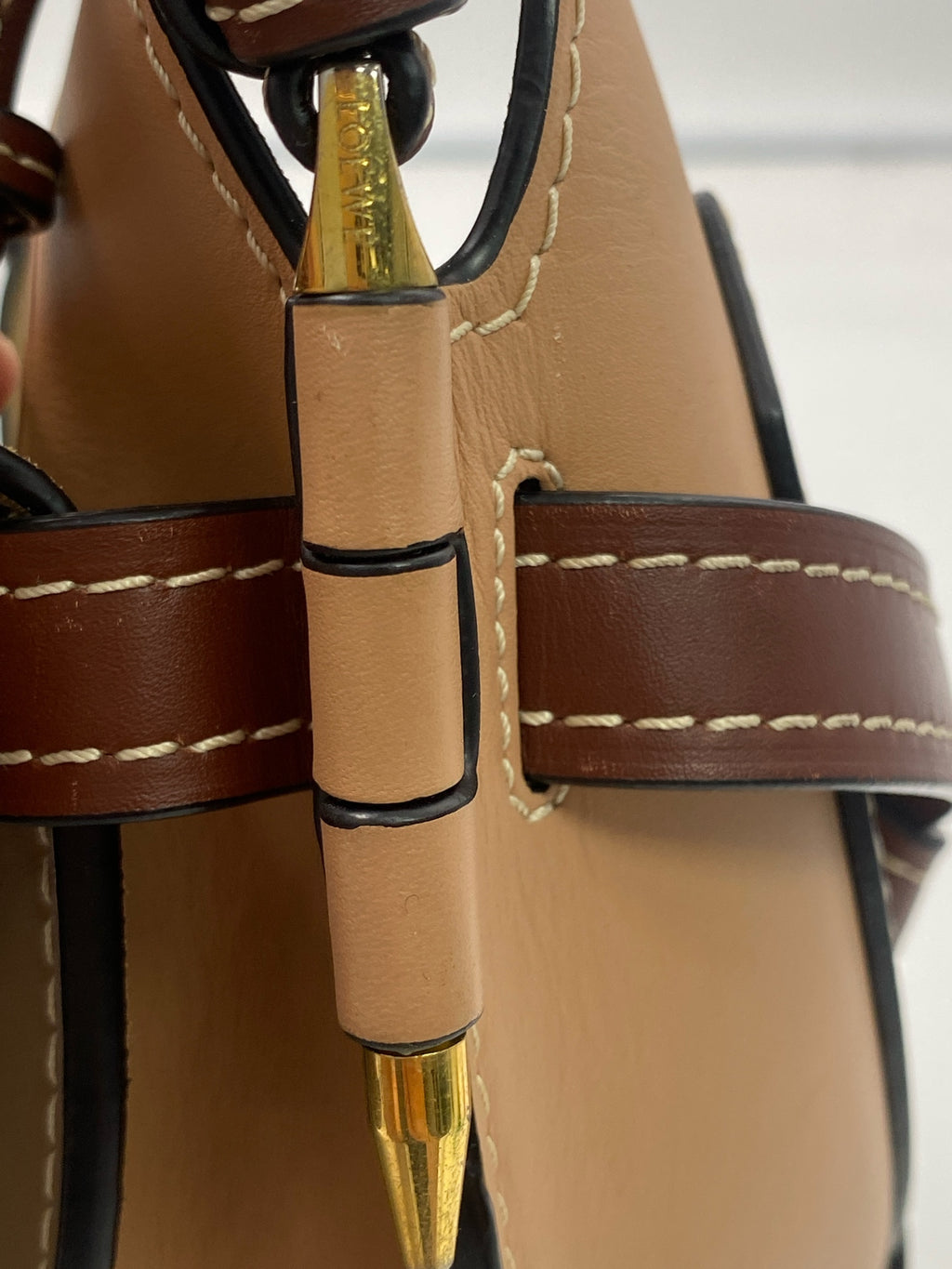 Loewe Saddle Bag
