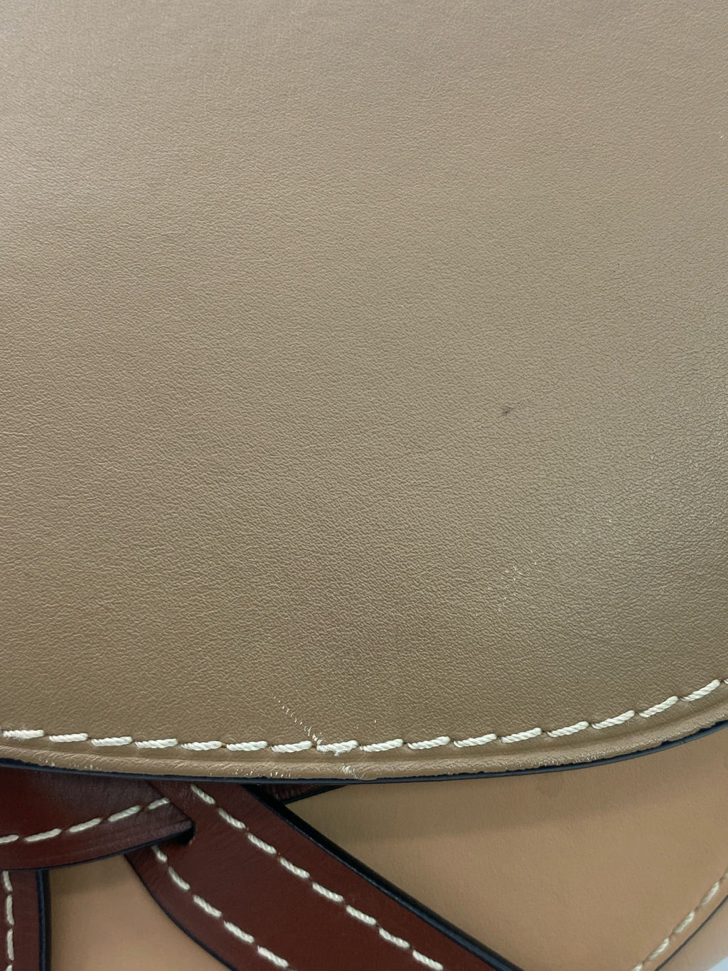 Loewe Saddle Bag