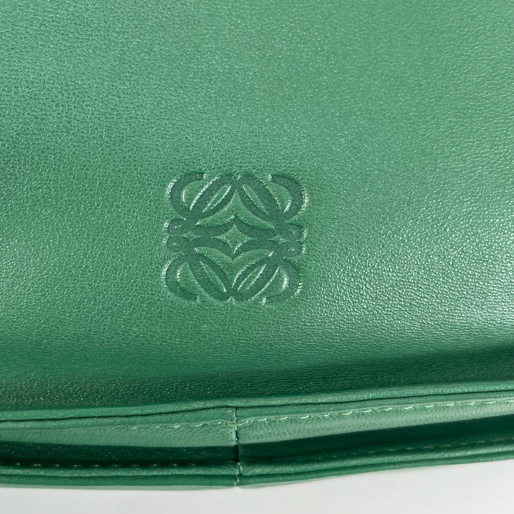 Loewe Green Crossbody