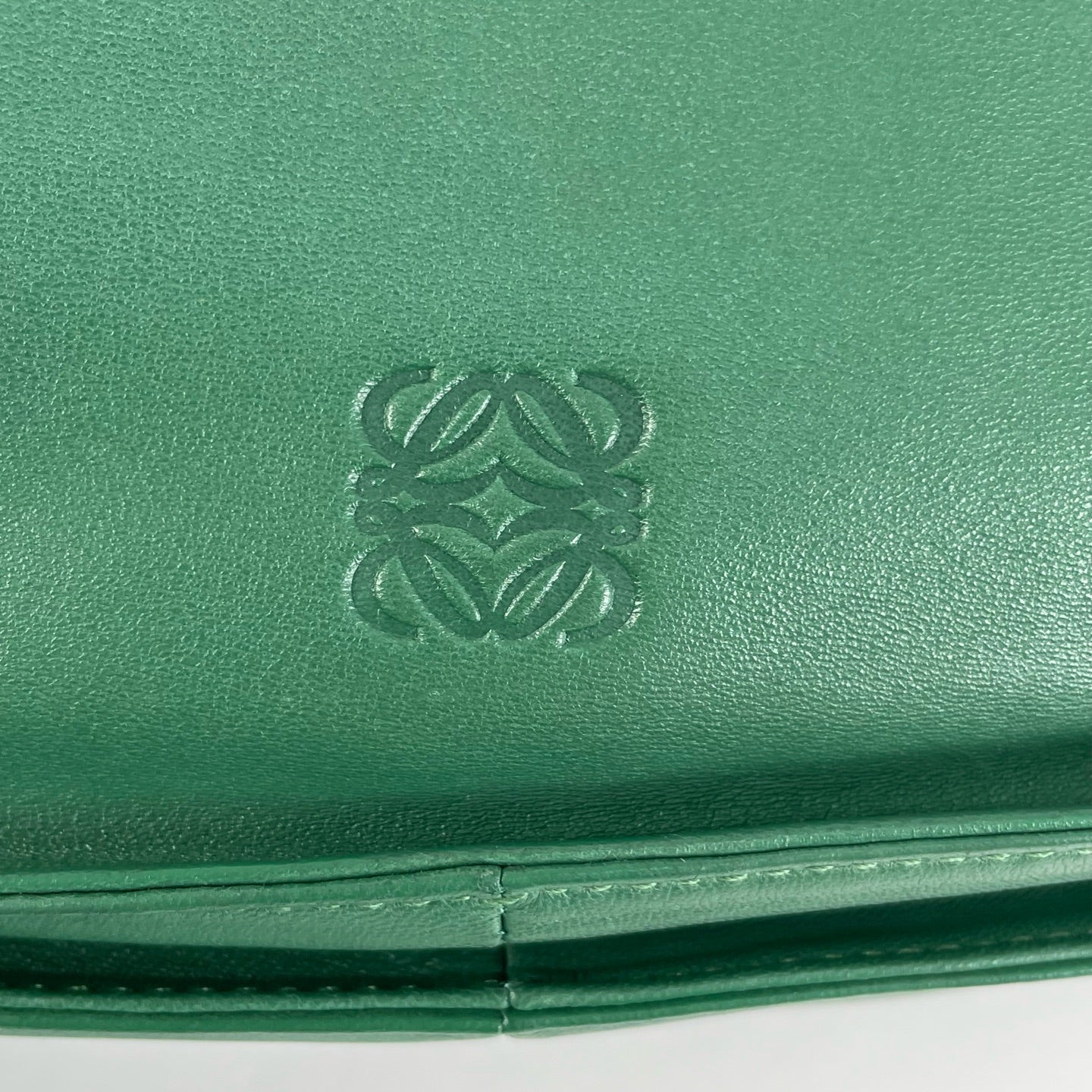 Loewe Green Crossbody