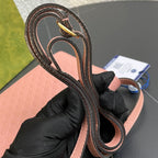 Gucci Crossbody