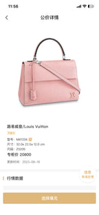 Louis Vuitton