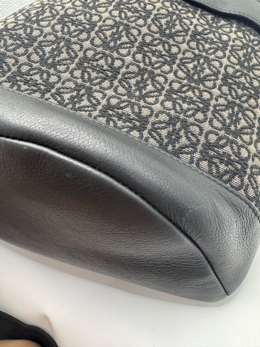 Loewe Backpack