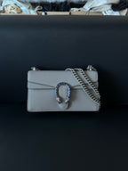 Gucci Gray