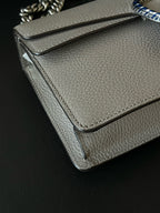 Gucci Gray