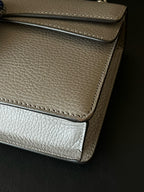 Gucci Gray