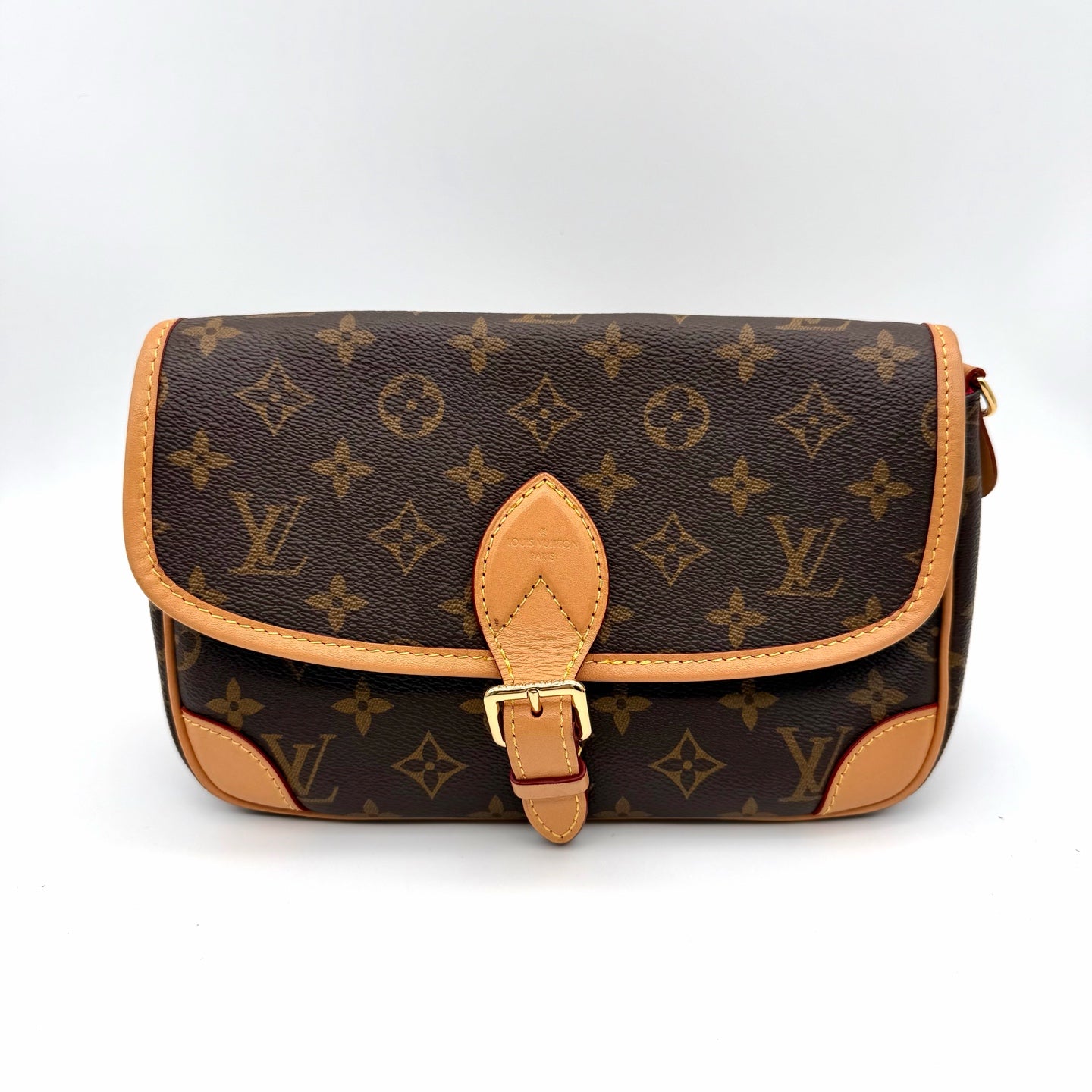 Louis Vuitton Canvas Crossbody
