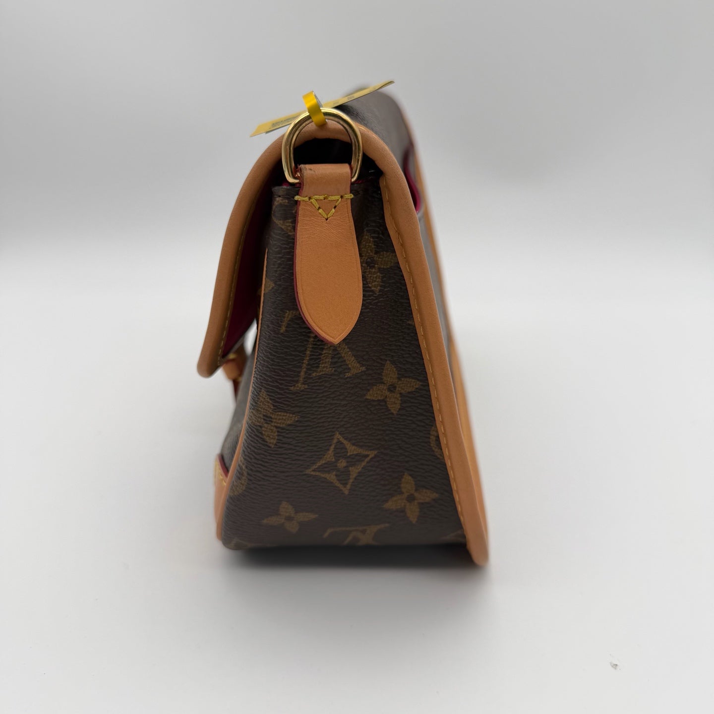 Louis Vuitton Canvas Crossbody