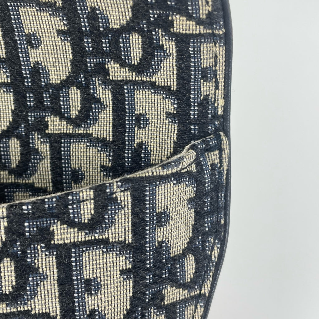 Dior Canvas Belt Bag & Fanny Pack