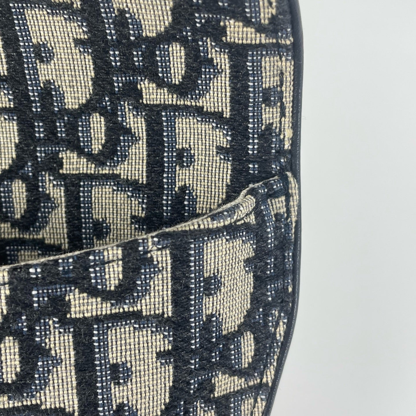 Dior Canvas Belt Bag & Fanny Pack