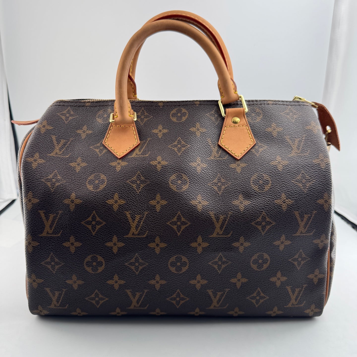 Louis Vuitton Speedy 30 Canvas M41108